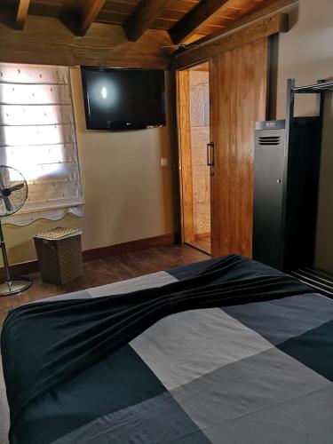 um quarto com uma cama e uma televisão na parede em La casita de Abi! em La Orotava