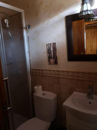 uma casa de banho com um WC, um lavatório e um espelho. em La casita de Abi! em La Orotava
