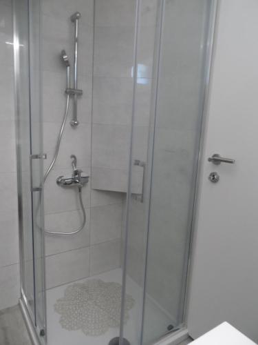 a shower with a glass door in a bathroom at Apartmani Dropulić in Opuzen