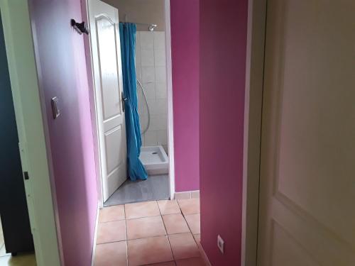 une salle de bain avec une porte rose et des toilettes dans l'établissement Gite au coeur de Provence, à LʼIsle-sur-la-Sorgue