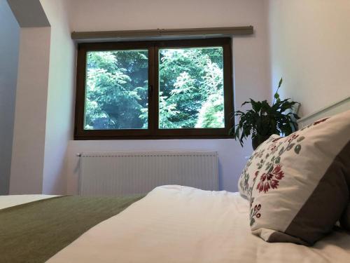 Schlafzimmer mit einem Bett und einem Fenster in der Unterkunft Forest Apartments by Olala Homes in Sinaia