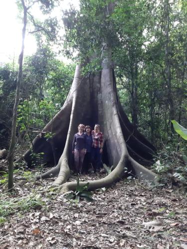 three people standing in front of a large tree at Ecolucerna Lodge Tambopata in Puerto Maldonado