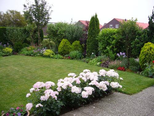 a garden with pink flowers in a yard at B&B Korendijk in Zuid-Beijerland