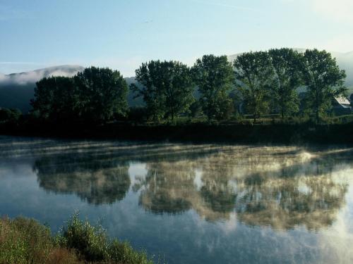 a reflection of trees in the water of a lake at Appartement Moselblick in Cochem