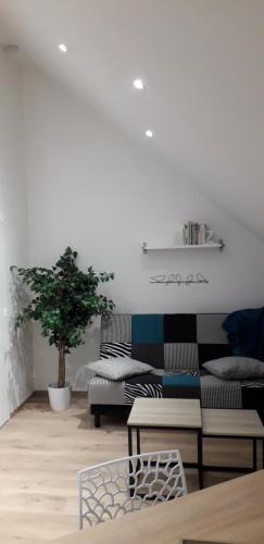 a living room with a couch and a potted plant at L'Escale au Coteau in Sucé