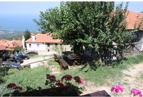 an aerial view of a house with a tree and flowers at Guesthouse Eleni in Palaios Panteleimon