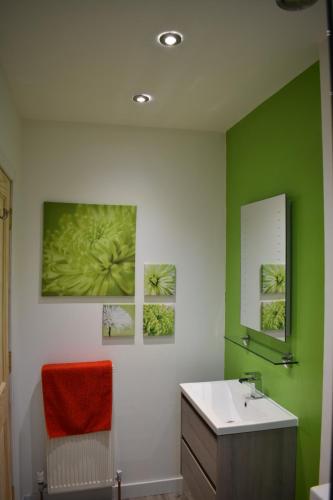 a bathroom with a sink and a green wall at Lycia Rooms + in Inverness