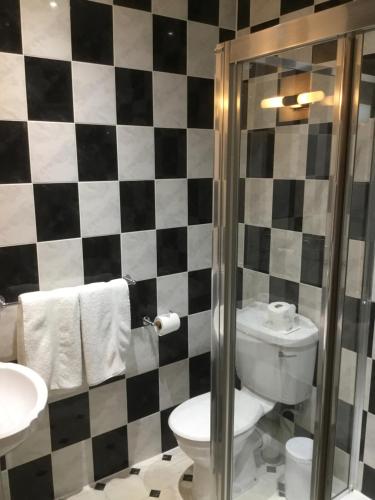 a bathroom with a toilet and a sink at The Loco in Doncaster