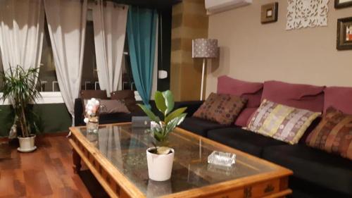 Apartamento CALELLA-BEACH