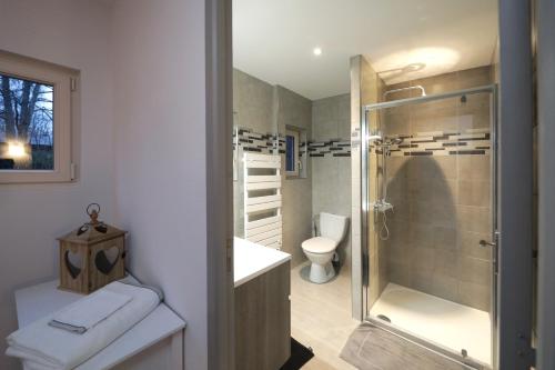 uma casa de banho com um chuveiro, um lavatório e um WC. em Chalet les airelles em Labaroche