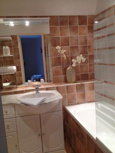 a bathroom with a sink and a vase of flowers at Hotel Le Flore in Fréjus