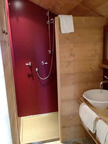 a bathroom with a shower and a sink at Berghütte Sommerstall in Redagno