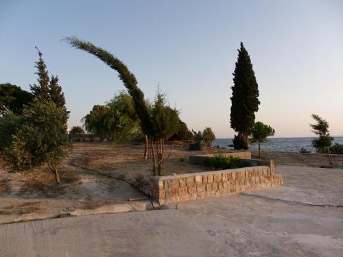 a park with trees and a stone wall next to the water at Pefkos Beachfront Villa in Pefki Rhodes