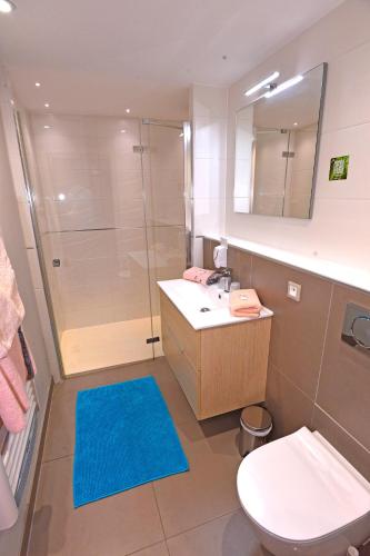 a bathroom with a shower and a sink and a toilet at Au Soleil, Hôtel Restaurant & Spa in Valff