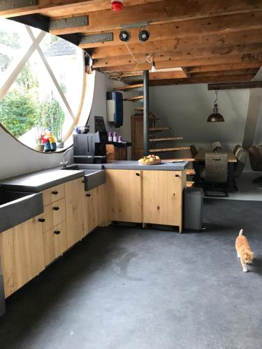 a kitchen with wooden cabinets and a cat in a room at Logement Meijnerswijk, Free Parking, Electric Parking, Kitchen,Living room, Free Coffee machine Geen jongeren onder 25 jr in Arnhem