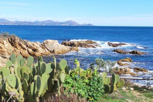 Gallery image of LA FINCKA 284 in Les Issambres