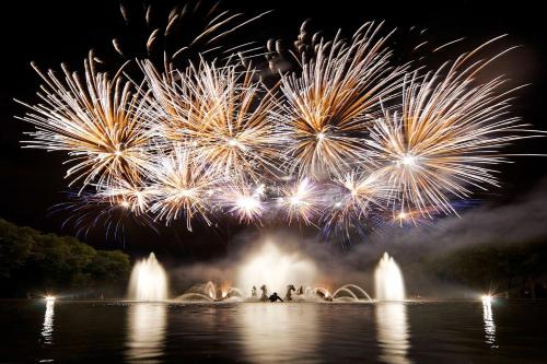 a firework display over the water with fountains at Hotel des Lys in Versailles