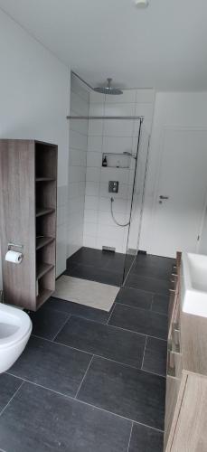 a bathroom with a shower and a toilet and a sink at Schöne Wohnung in Walenstadt in Walenstadt