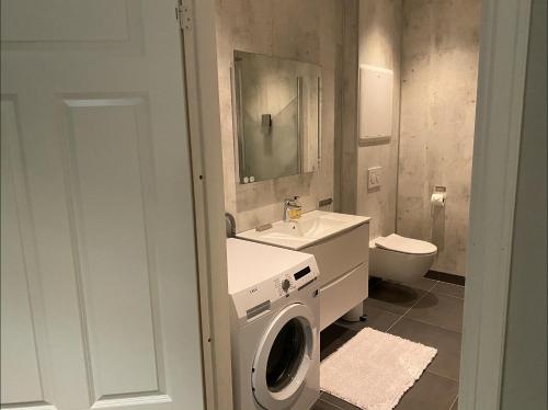 a bathroom with a washing machine and a sink at Aurora Dream in Svensby