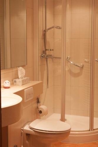 a bathroom with a shower with a toilet and a sink at Harmony beim Holzschnitzer in Dreis-Brück