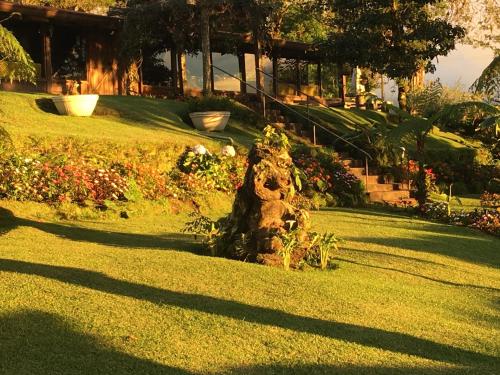 a stump in the middle of a lawn with flowers at Villa Calas in Vara Blanca
