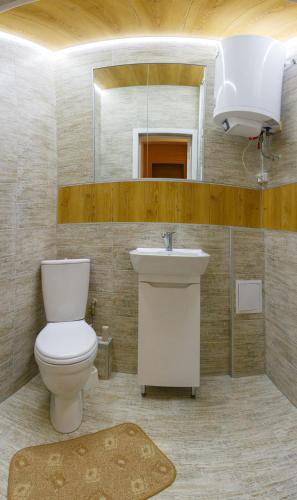 a bathroom with a toilet and a sink and a mirror at Apartments on Independence Square in Kyiv