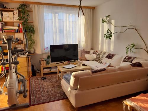 uma sala de estar com um sofá branco e uma televisão em bedroom@home em Berg bei Rohrbach