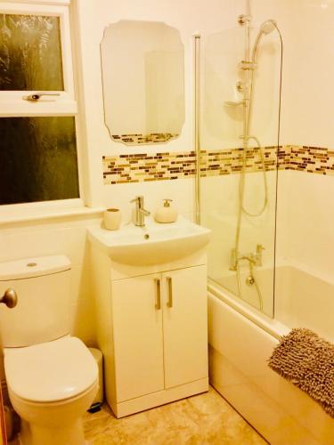 a bathroom with a toilet and a sink and a shower at Spacious two bedroom flat, central location in Plymouth