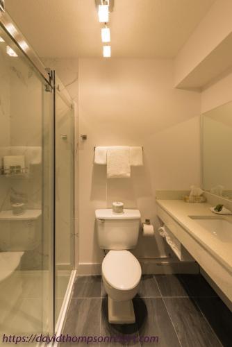 a bathroom with a toilet and a shower and a sink at David Thompson Resort in Cline River