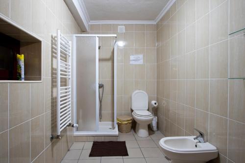 a bathroom with a toilet and a sink at Casas do Flor in Gouveia