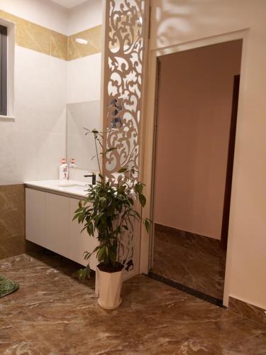 a bathroom with a sink and a potted plant at Villa Suối Mùa Xuân in Da Lat