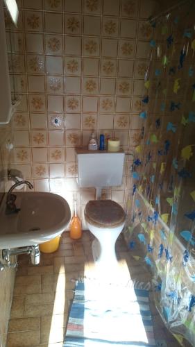 een badkamer met een toilet en een wastafel bij Lenzbauer in Lessach