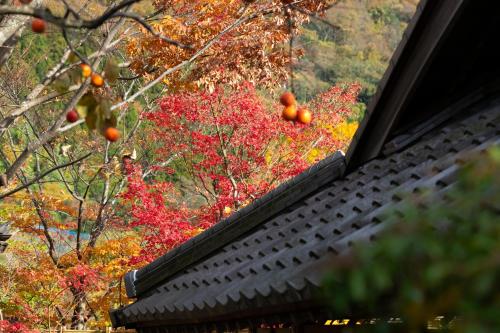 a view from a window of a tree with oranges at Yufuin Santoukan in Yufuin