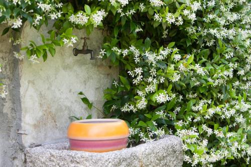B&B I Corni di Nibbio – Photos 5