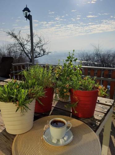 Balkón nebo terasa v ubytování Villa Jasikovac