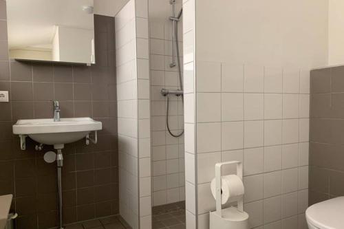 a bathroom with a shower with a sink and a toilet at Tine Boshuisje Veluwe in Otterlo