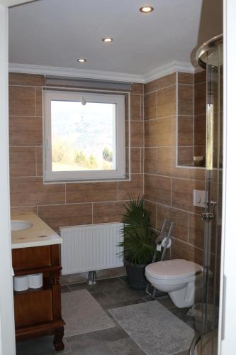 a bathroom with a toilet and a sink and a window at Villa Schloss in Wolfsberg