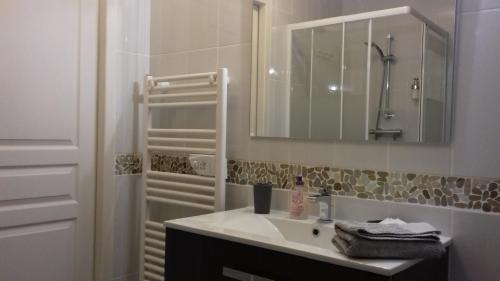 W łazience znajduje się umywalka, lustro i prysznic. w obiekcie Gite - Chambres d'Hôtes Faverolles w mieście Faverolles
