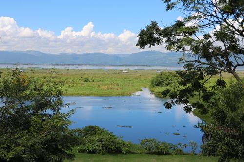 a river in the middle of a field with trees at Sanctum Inle Resort in Nyaung Shwe