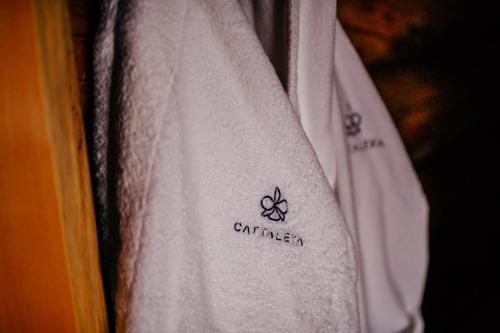 Fotografie z fotogalerie ubytování Resort CATTALEYA v Čeladné