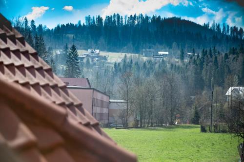 a view from a roof of a building in a field at Willa i domki Victoria in Wisła