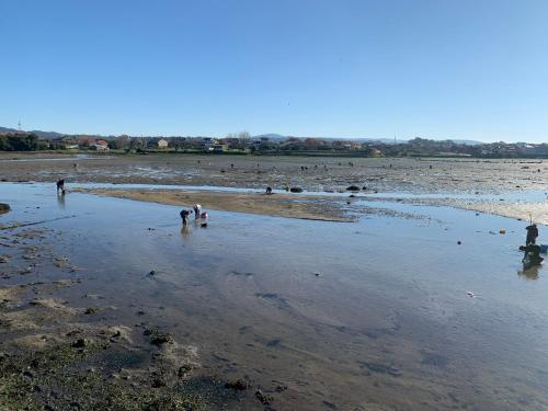 a group of people playing in the water on a beach at Apartamentos Arosa in Isla de Arosa