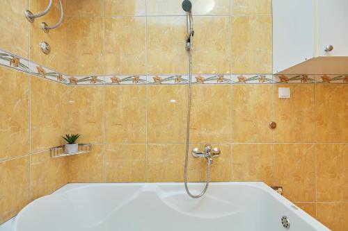 a bath tub with a shower in a bathroom at Apartments Zelic Tucepi in Tučepi