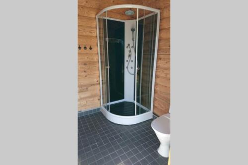 a bathroom with a shower and a toilet at Captain Alexandri Cottage by the Sea in Kõiguste