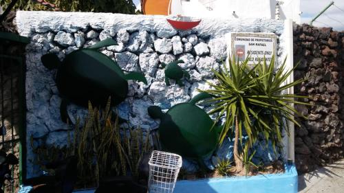 eine Wand mit Kakteen und Pflanzen darauf in der Unterkunft Casas Blancas Las Tortugas in Playa de las Americas