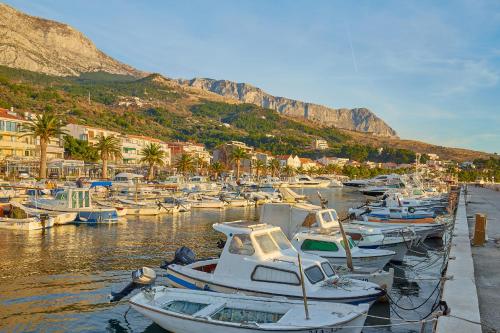 a bunch of boats are docked in a harbor at Apartments Zelic Tucepi in Tučepi