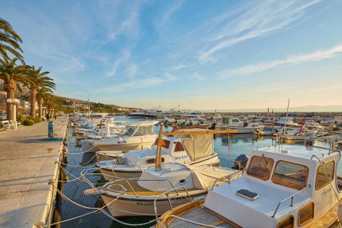 a bunch of boats are docked in a marina at Apartments Zelic Tucepi in Tučepi