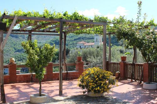 a pergola with two potted trees on a patio at B & B Il Campanile in Perdifumo