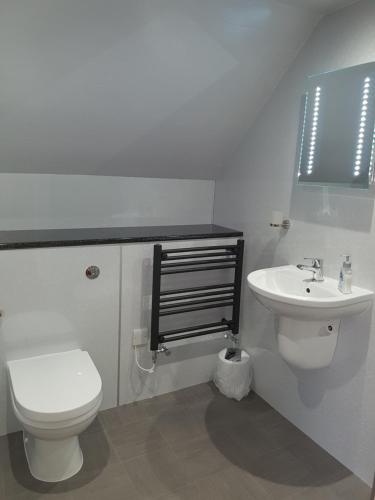 a bathroom with a white toilet and a sink at Lindisfarne Bed & Breakfast in Stromness