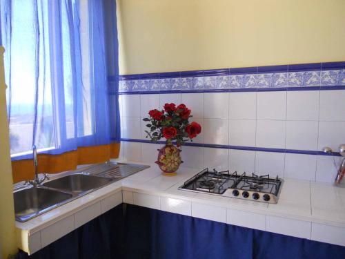 Una cocina con un fregadero y un jarrón con flores rojas. en Villa Saba, en Lampedusa